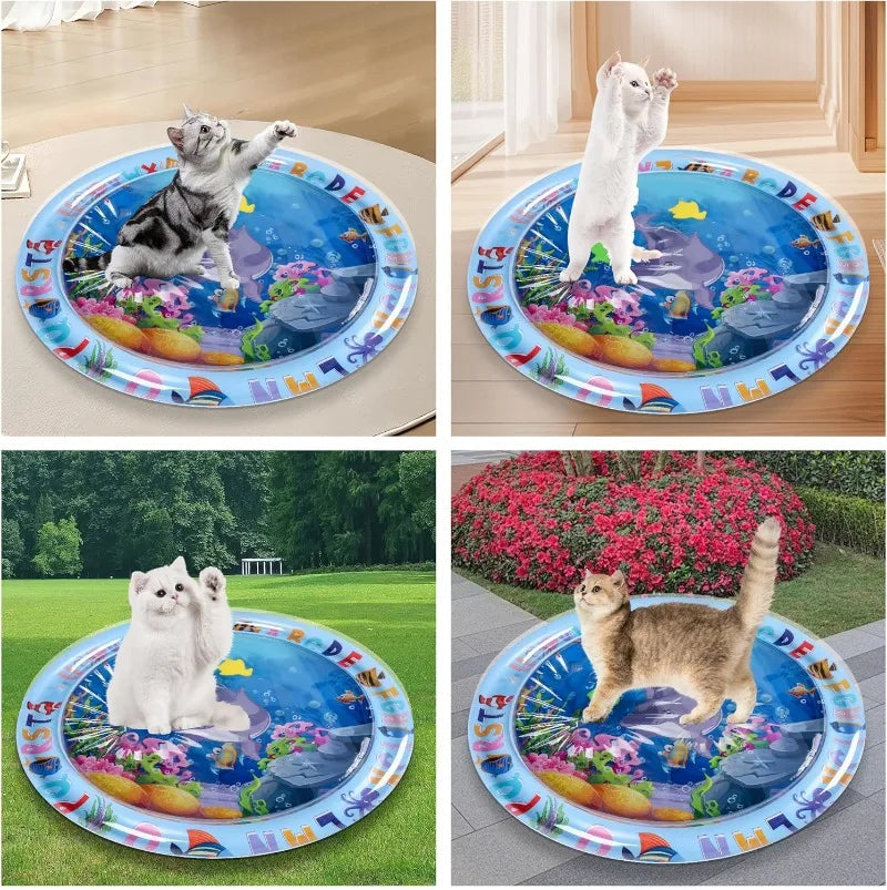 Pet Water Sensory