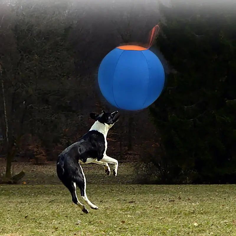 Dog Herding Ball for Dogs & Puppies