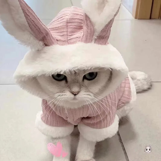 Lovable Pet Clothes Autumn and Winter