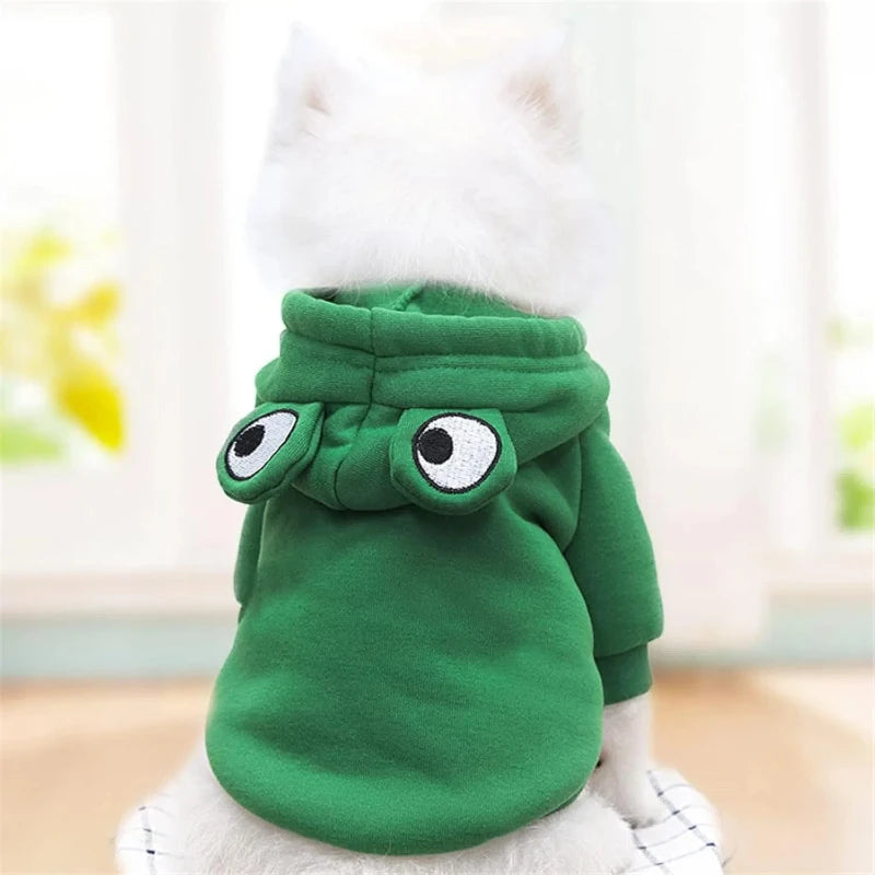 Pet hoodie