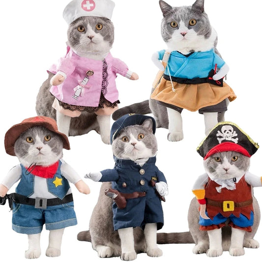 Funny Cat Clothes