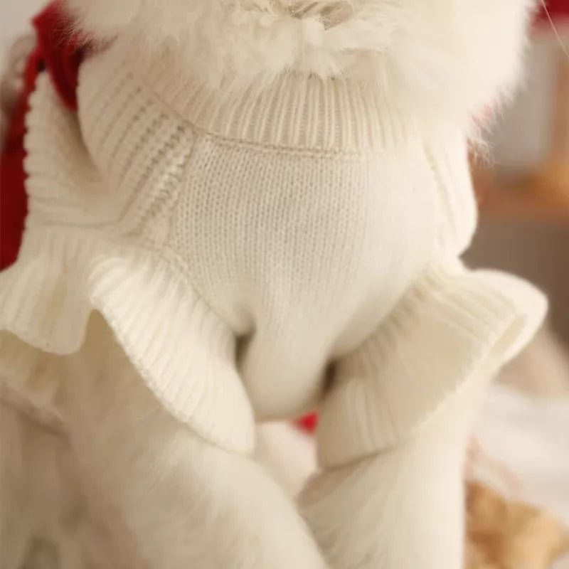 Cat Christmas Clothes