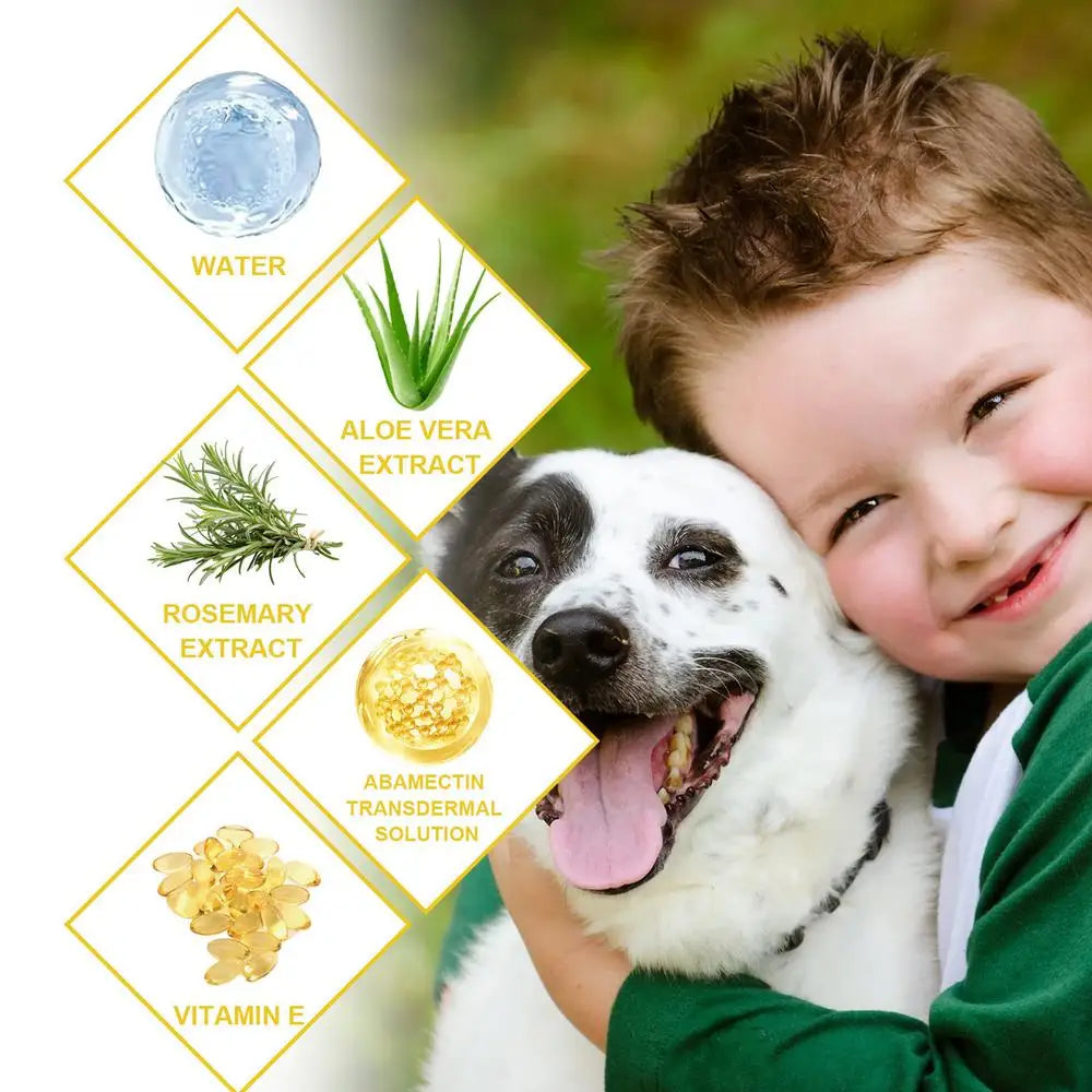 Flea and Tick Treatment