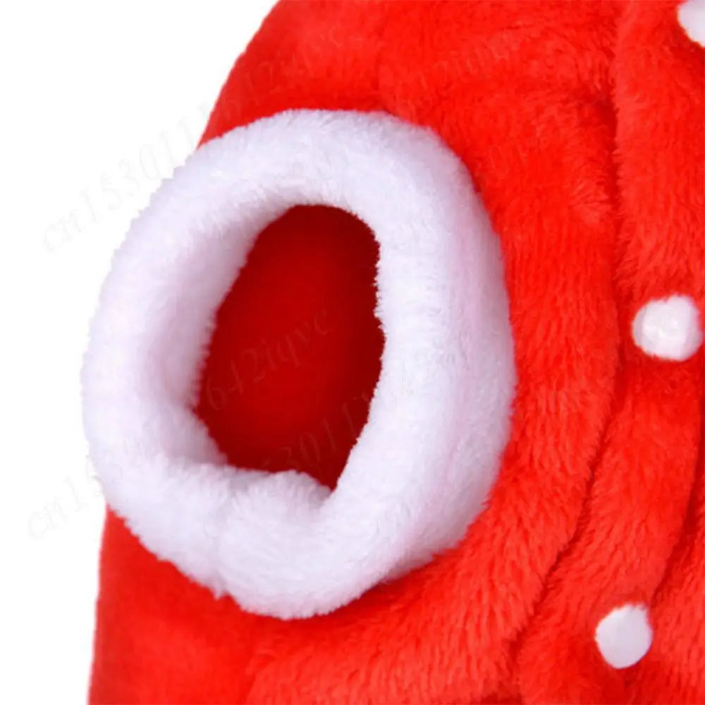 Christmas Pet Clothes
