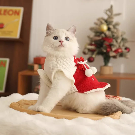 Cat Christmas Clothes
