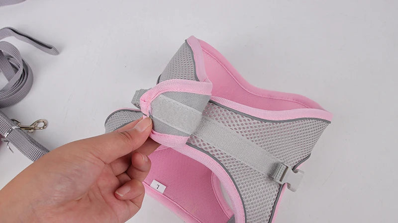 Dog Harness Leash Set for Small Dogs Adjustable