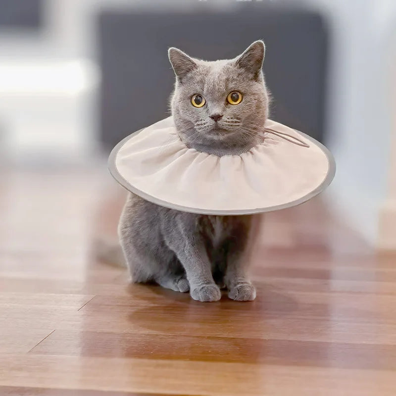 Pet Elizabethan Sterilization Care Collar